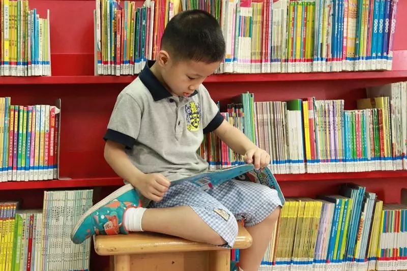 12岁前培养孩子的阅读习惯究竟有多重要？